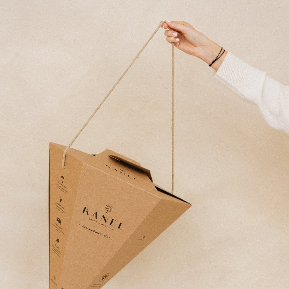 KANEL-Lieferbox aus Kraftkarton, an der Kordel gehalten