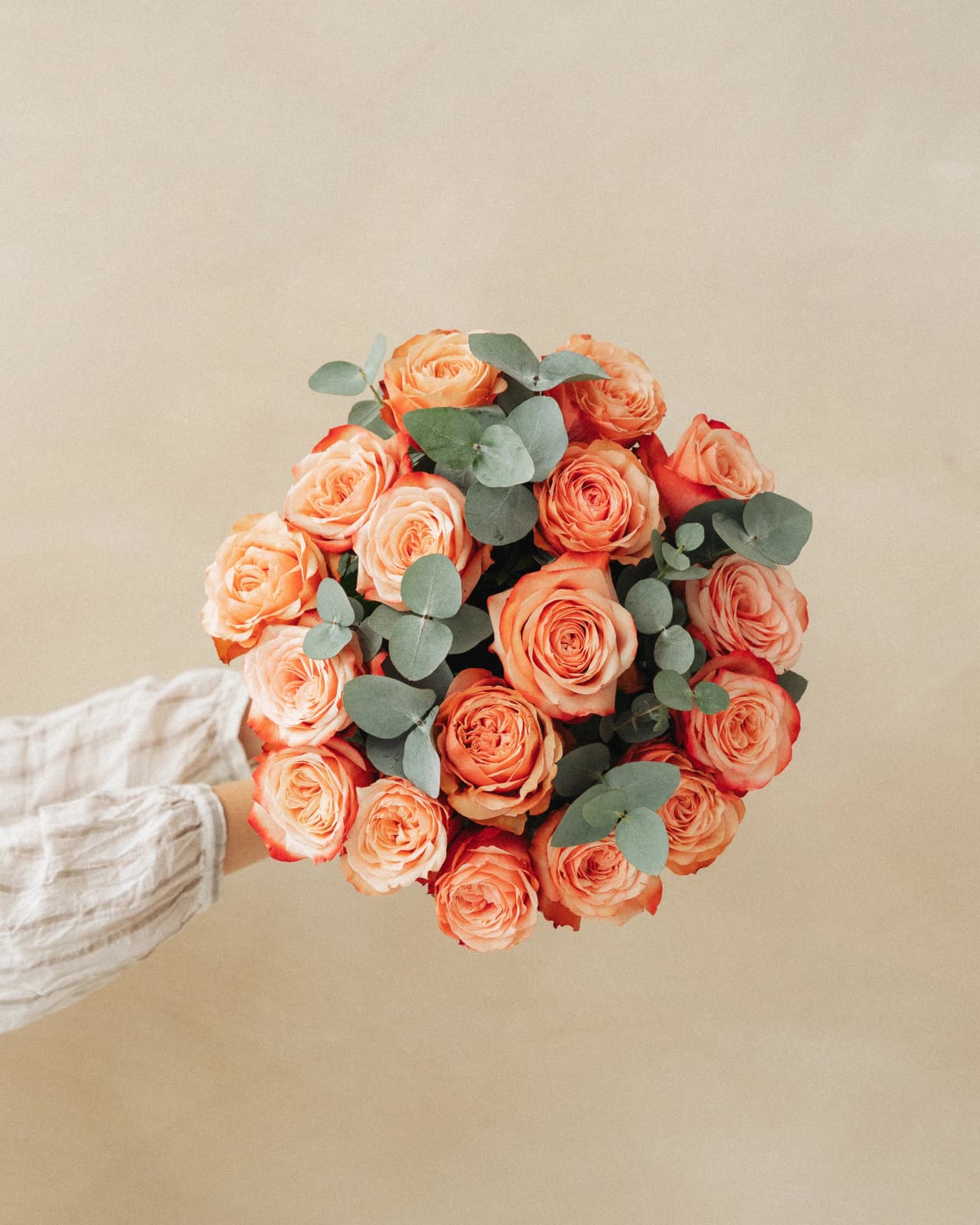 Welche Blumen passen zu einem Kondolenzbesuch?