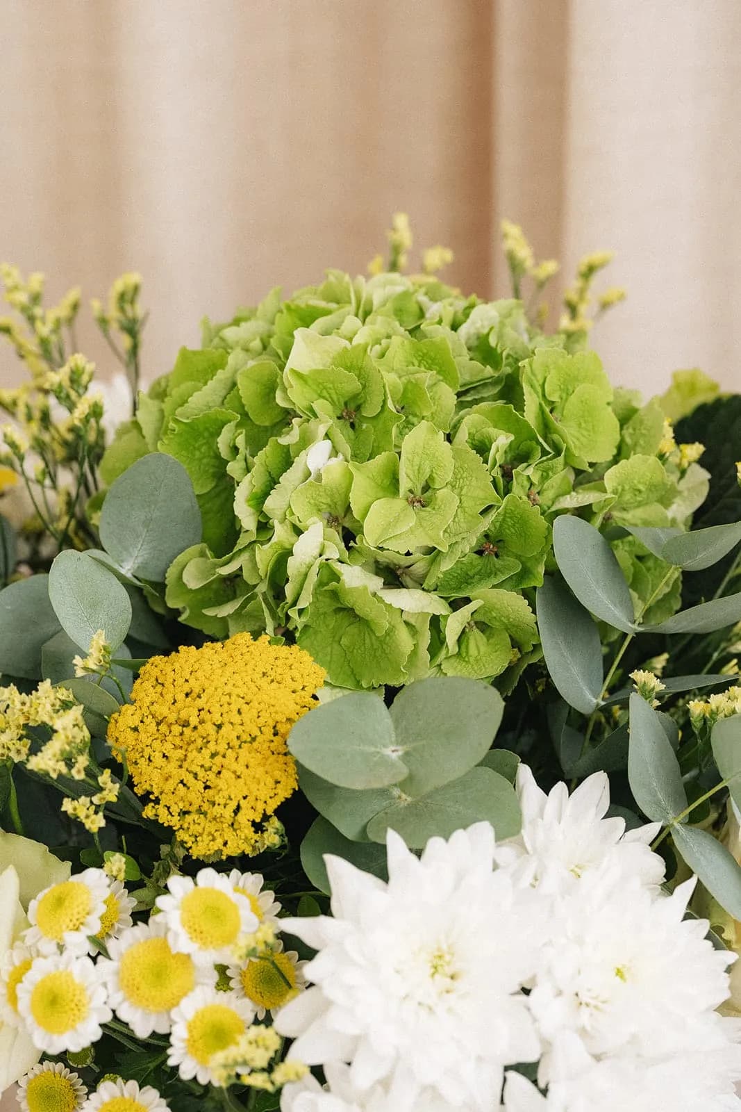 Détail de fleurs vertes, jaunes et blanches